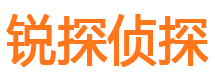 河口区侦探公司